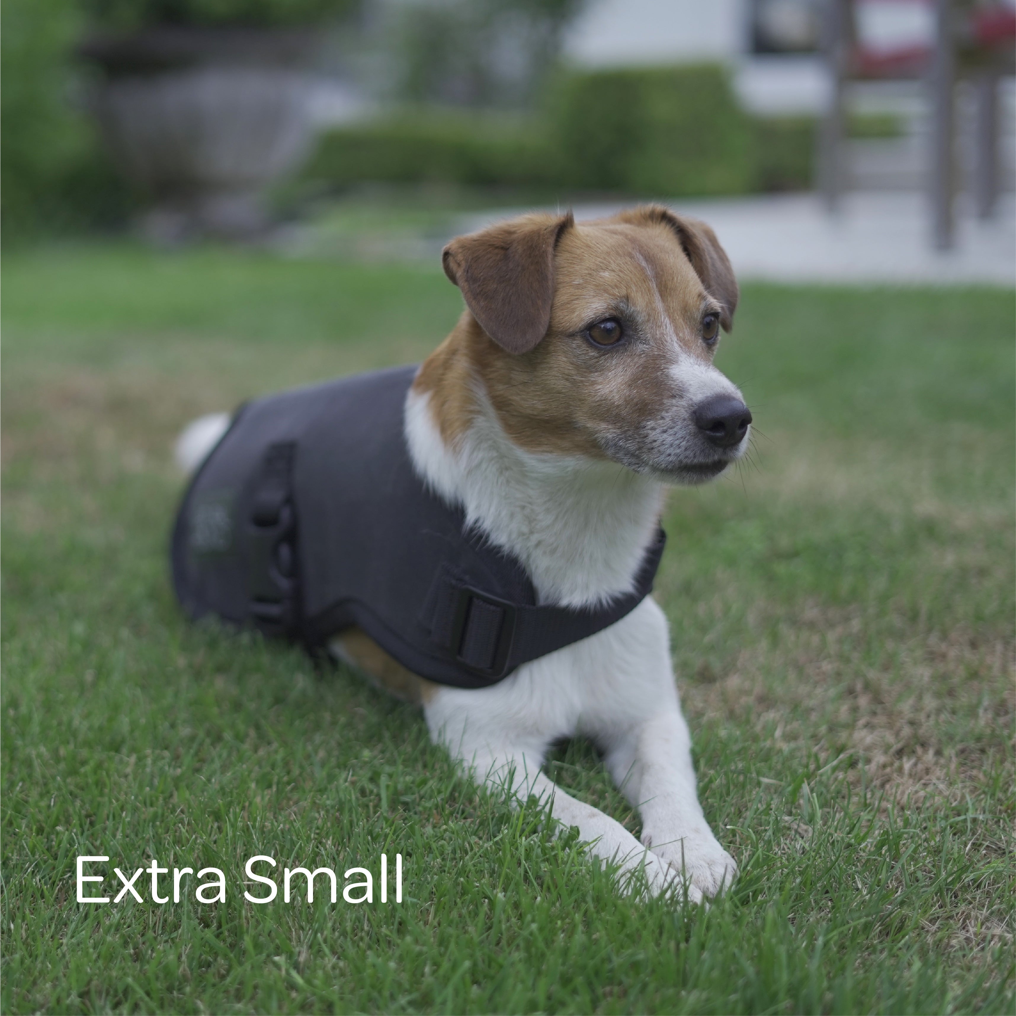 Waterproof Canvas Shell Dog Coat