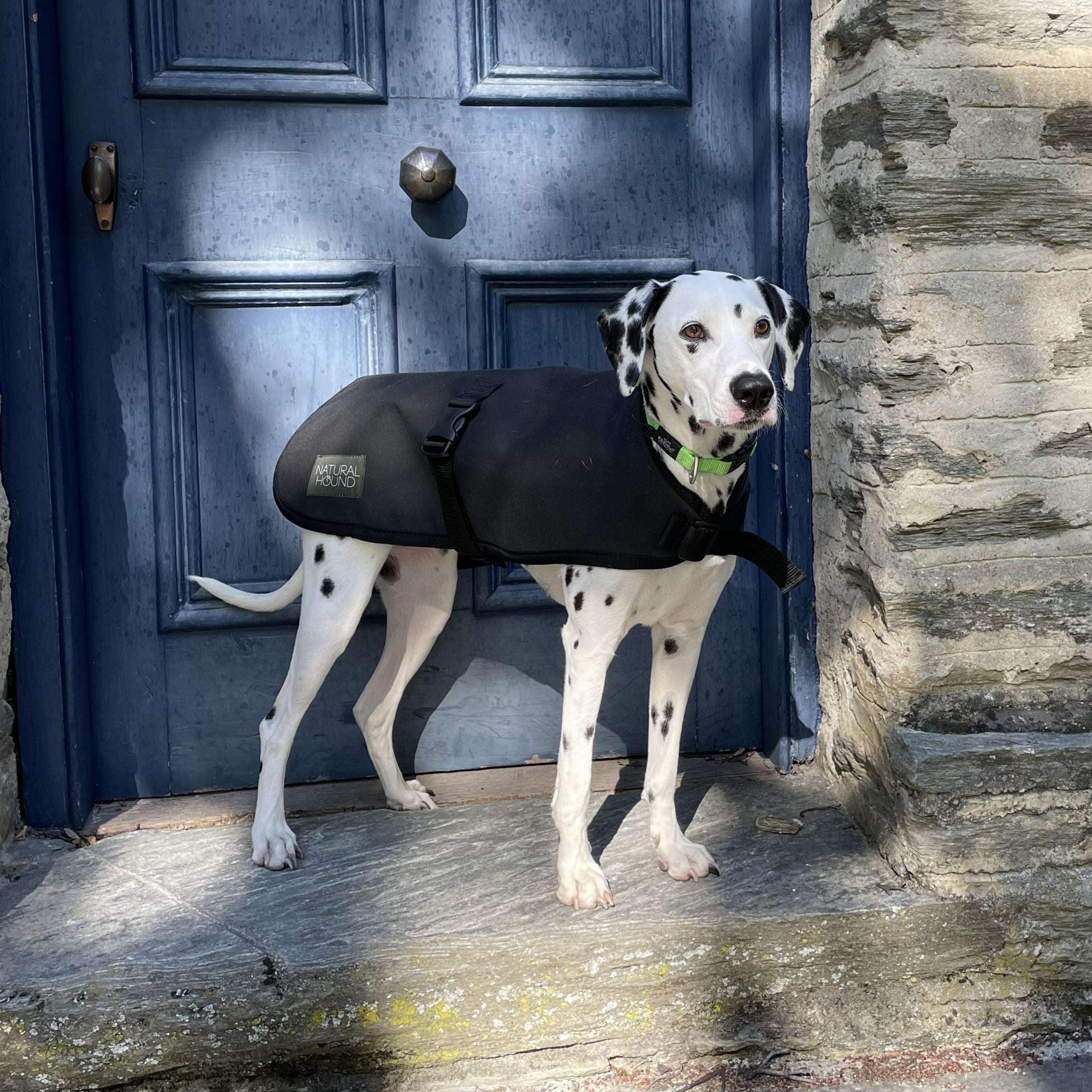 Canvas Wool Coat