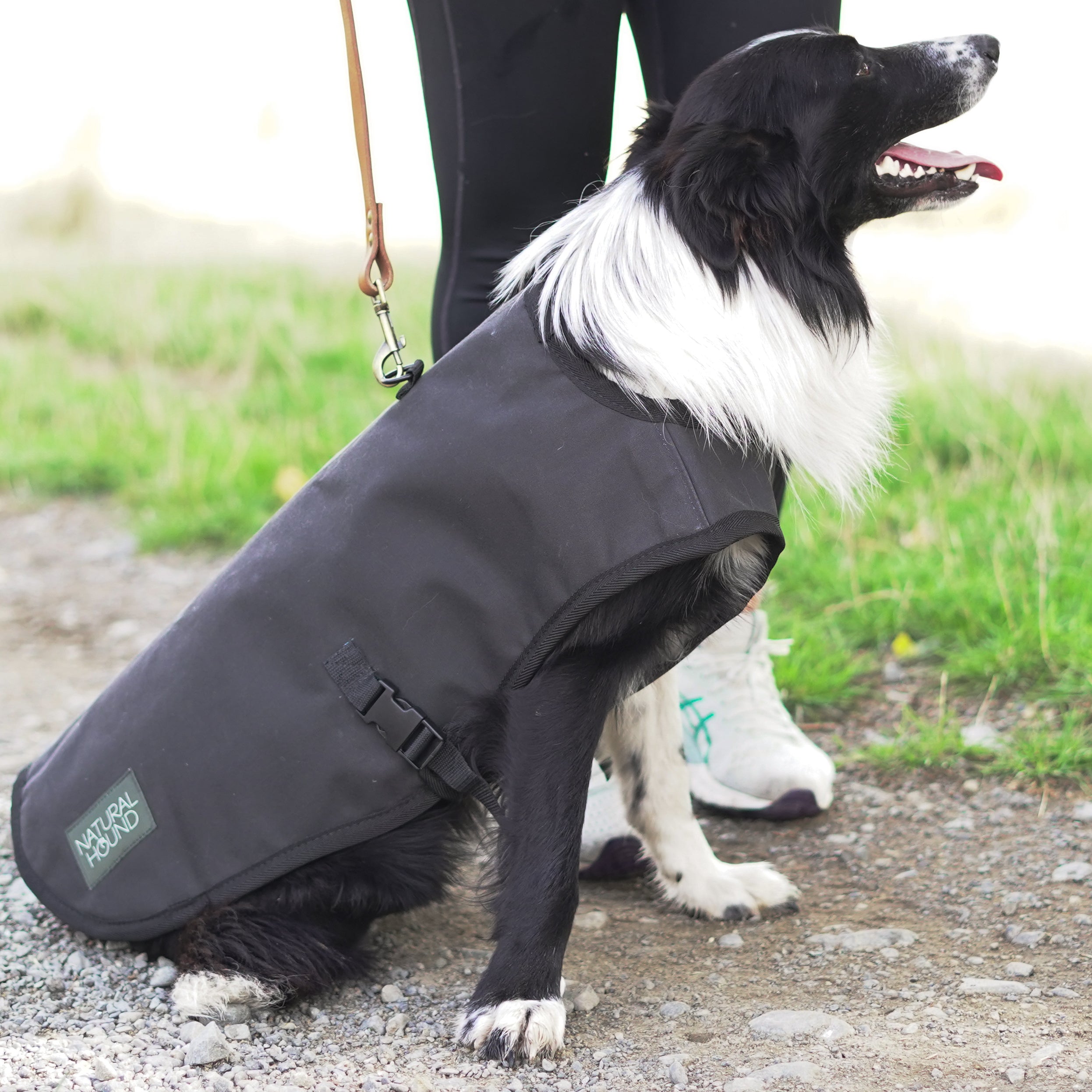 NEW Venture Dog Coat